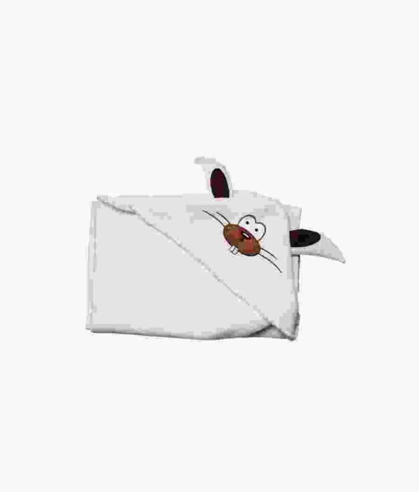 Ship Your Idea